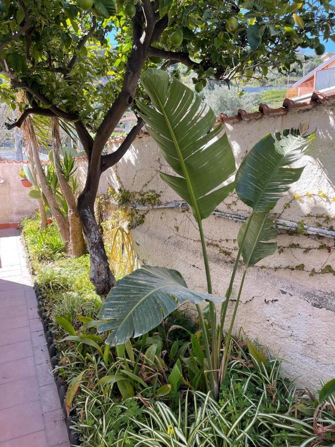 Villa Alba ブルコリ エクステリア 写真